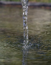 water being poured onto the ground