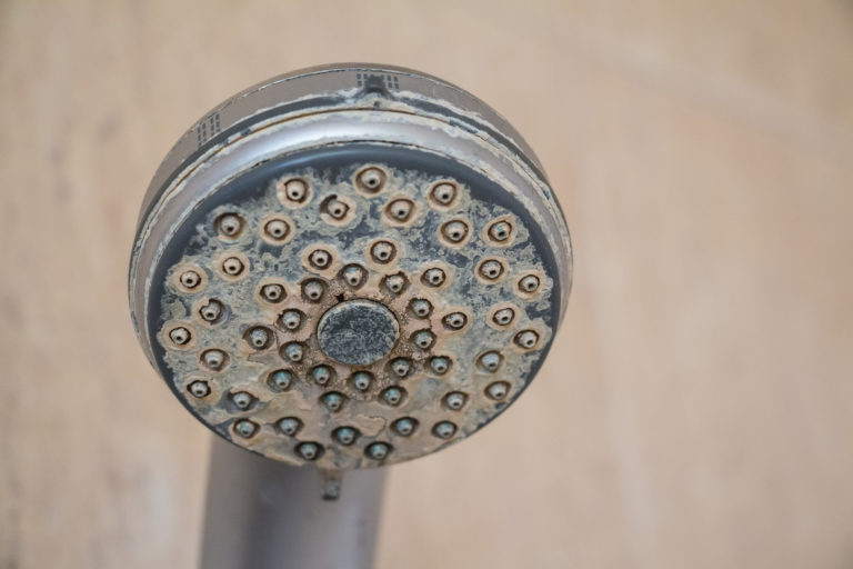 hard water build up on a old shower head