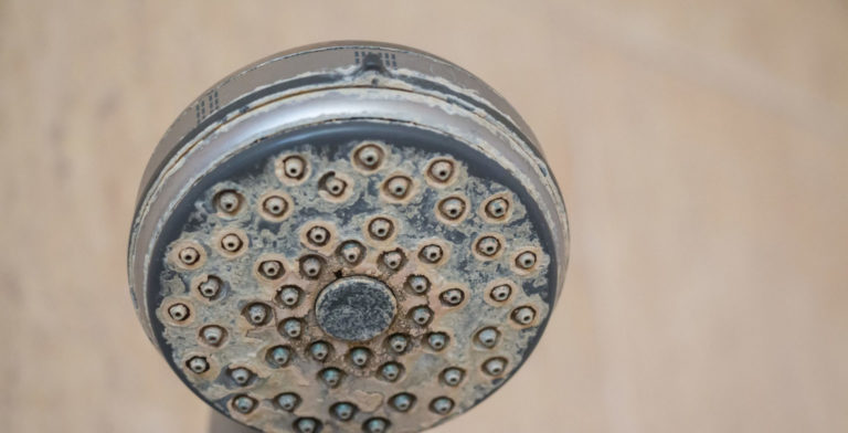 hard water build up on a old shower head